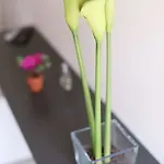 Iris Pensjonat Rzym