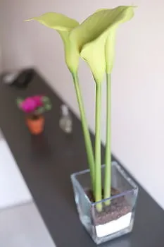 Iris ゲストハウス ローマ