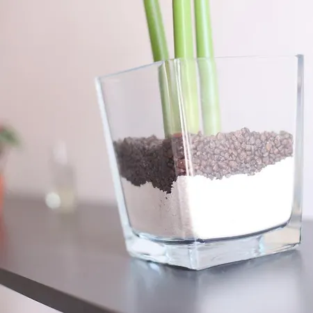 Iris 게스트하우스